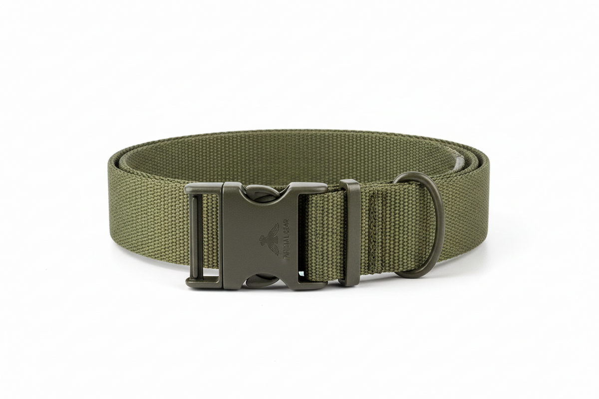 Gürtel / Sling & Co.
