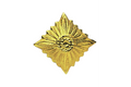 NVA Dienstgradstern Gold Gebr.