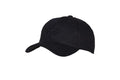BB-Cap Fostex logo schwarz