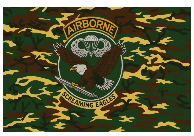 Flagge U.S. Airborne Camo, 90 x 150 cm, neu