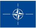 NATO Flagge (90 x 150 cm) - MFH